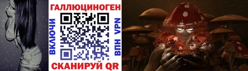 Галлюциногенные грибы Psilocybine cubensis  ОМГ ОМГ   Ахтубинск 