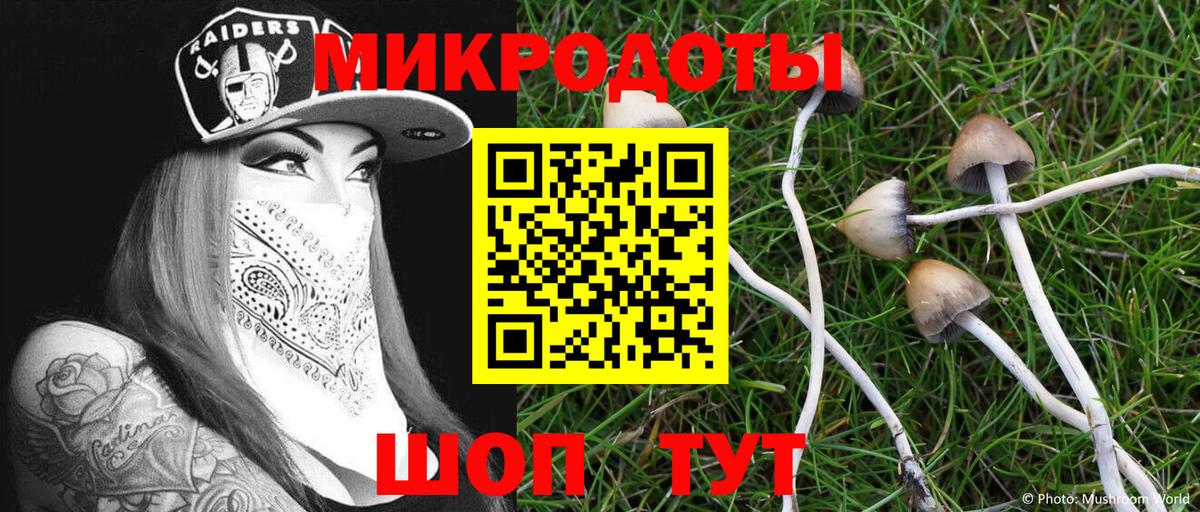 Псилоцибиновые грибы Psilocybine cubensis Ахтубинск