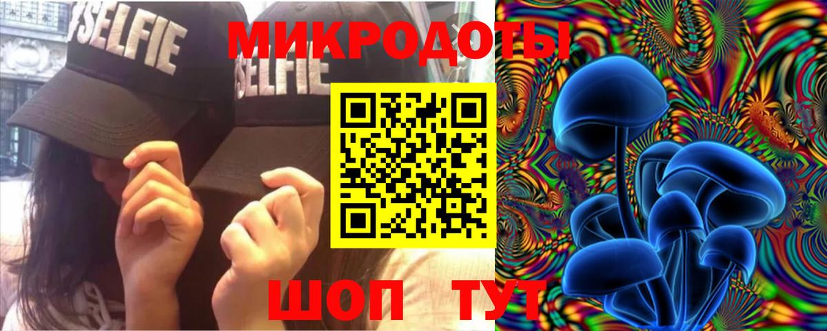 Ахтубинск  Псилоцибиновые грибы Psilocybine cubensis  Вход с VPN 
