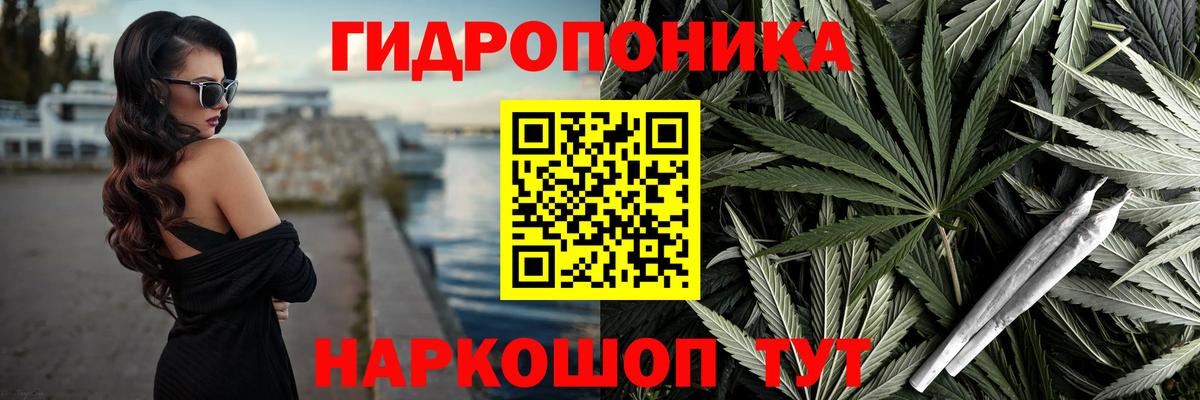 Бошки Шишки план Ахтубинск